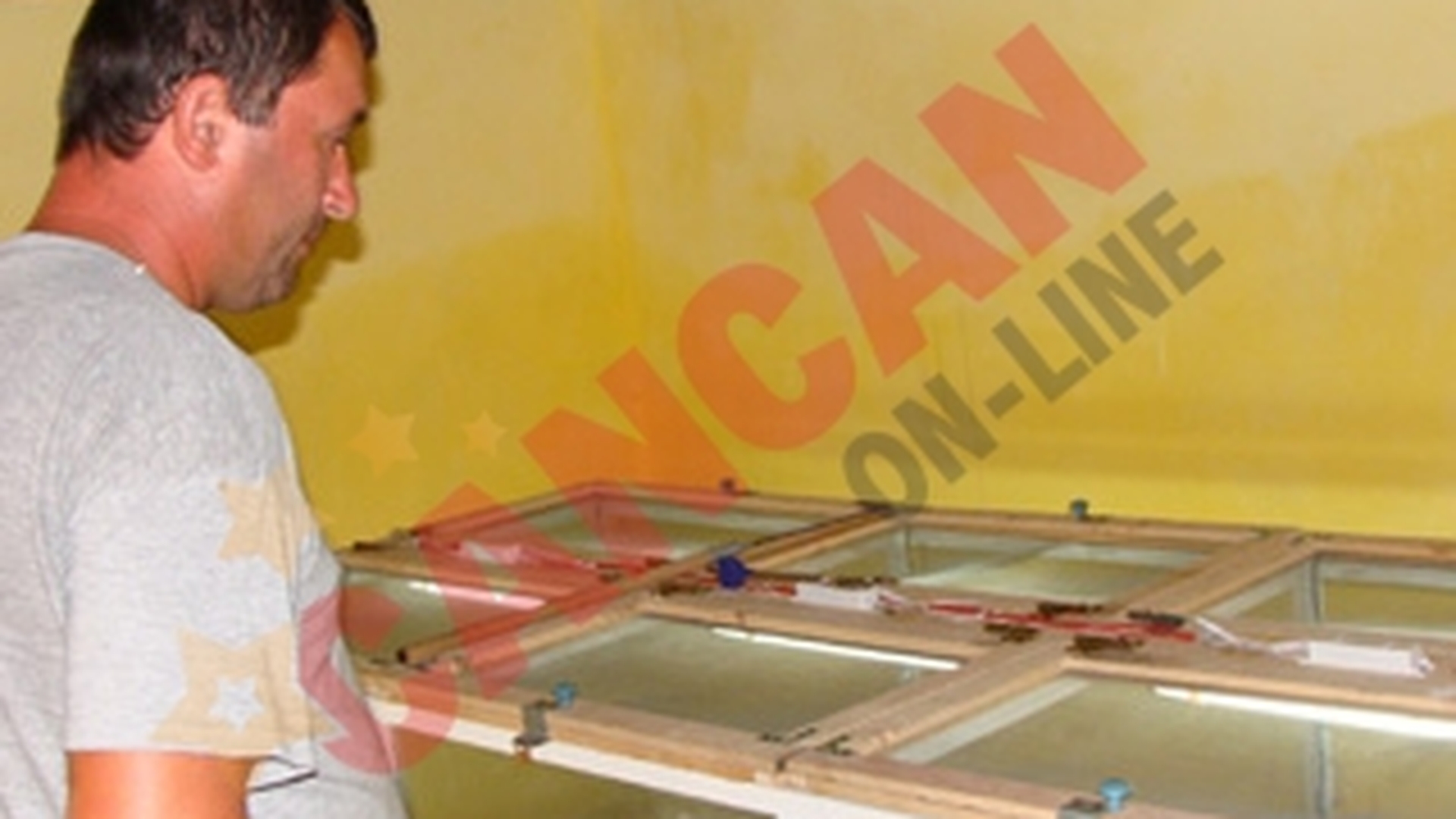 A investit banii de masina in vipere cu corn