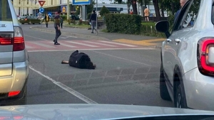 Imagini șocante în Satu Mare. O femeie căzută în mijlocul șoselei este ignorată de toată lumea: „Doar un șofer a oprit”