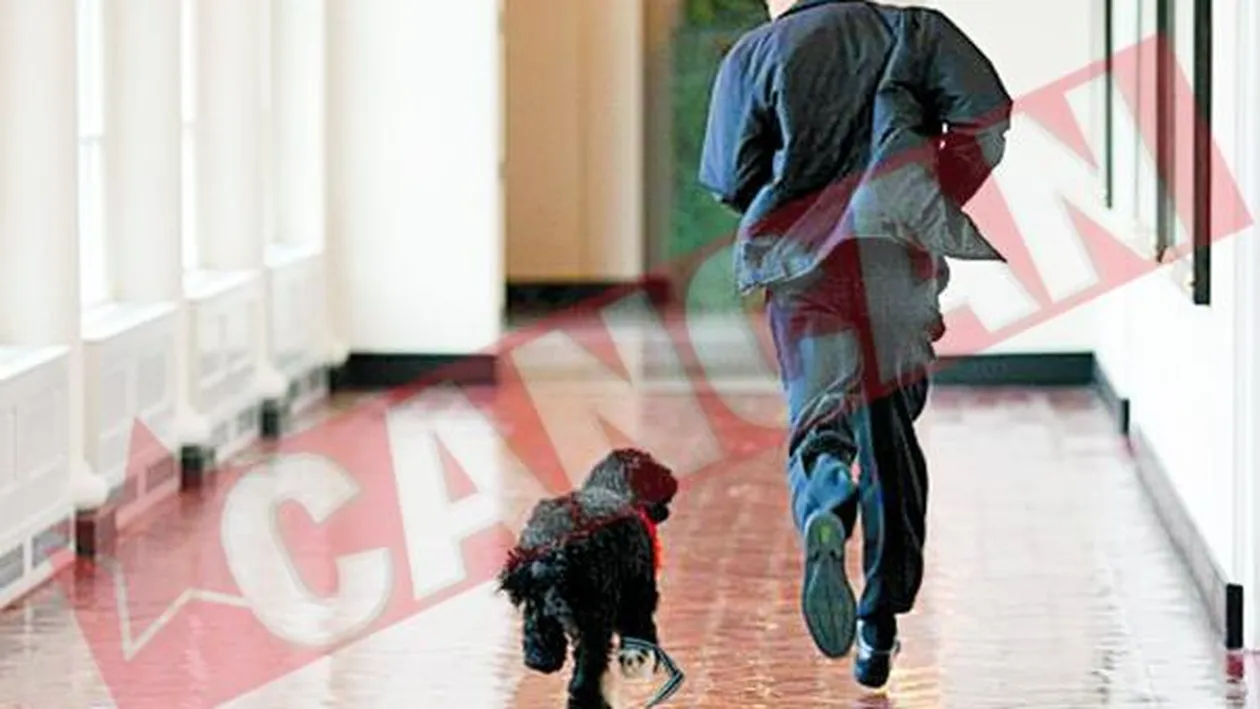 Bo il musca pe Obama de degete
