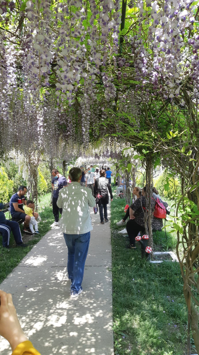 Curtea Mănăstirii Ghighiu a fost arhiplină în weekend
