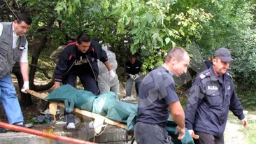 Mamaie, tataie, veniti repede ca l-am omorat pe tata