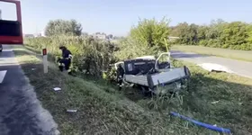 Galerie foto - poza 2