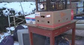 Galerie foto - poza 2