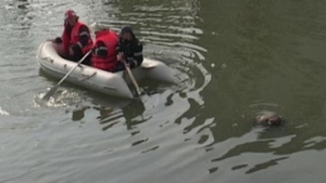 ULTIMA ORA! Descoperire MACABRĂ într-un râu din Satu Mare