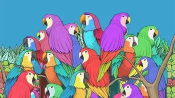 Test de perspicacitate | Găsiți fluturele ascuns printre papagali!