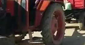 Galerie foto - poza 3