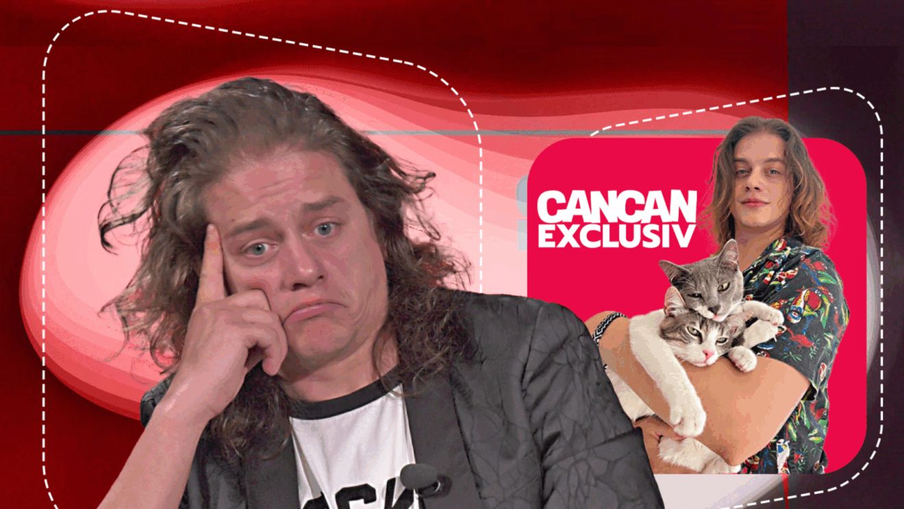 Fabulos! Nici pisica n-a scăpat, iar Poliția l-a chemat la audieri! Marilu l-a acuzat că a bătut-o și a trimis-o la agățat, Iustin Petrescu a venit cu replica: sechestrat în casă și...