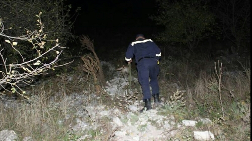 Au fugit de acasă "din dragoste". Tinerii dați dispăruți în Dâmbovița au fost găsiți într-o pădure