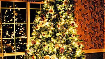 Ce culori se poarta - Ce merge si ce nu - Accesorii si decoratiuni! Cum ne impodobim casa de sarbatori!