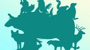 Iluzie optică virală | Câte animale sunt, de fapt, în această imagine? Dacă răspunzi corect, ești un geniu
