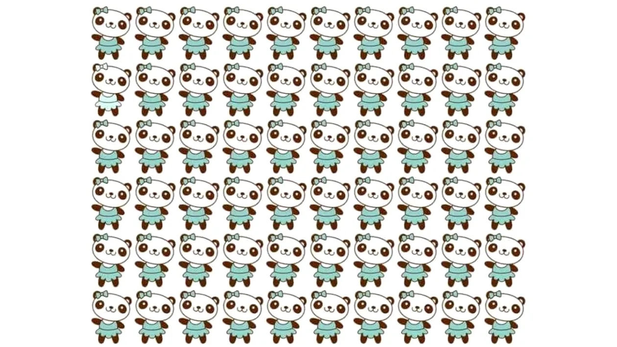 Test de logică | Un singur ursuleț panda este diferit de toți ceilalți. Îl puteți găsi?