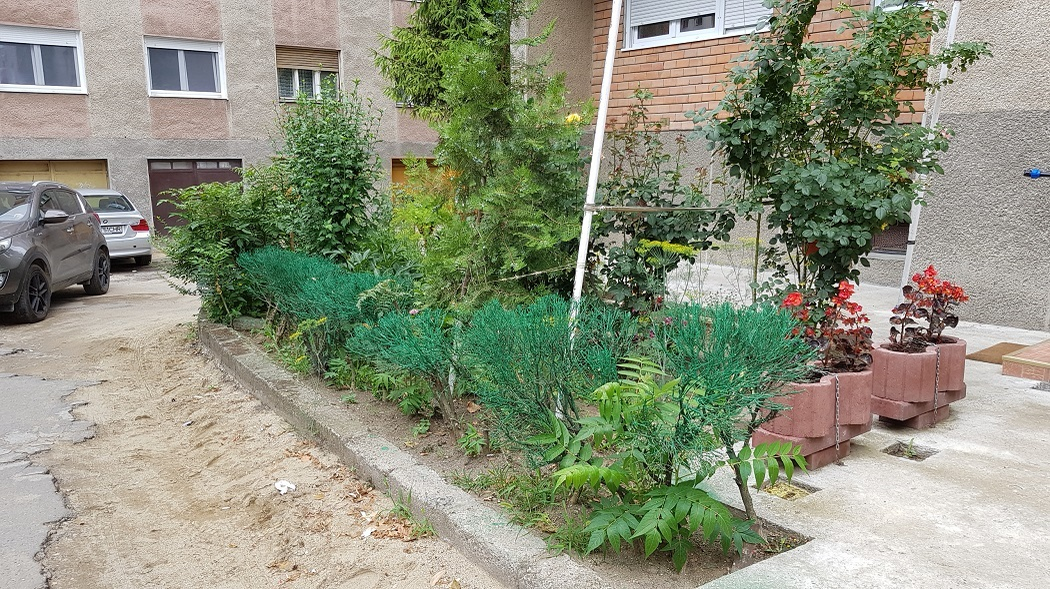 Gardul a fost vopsit ca să nu pară prea deprimant