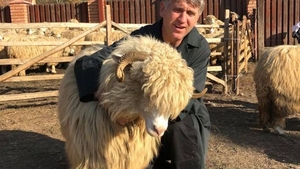 Incredibil cum şi-a numit Cristian Pomohaci oile! Răzvan Simion se va enerva