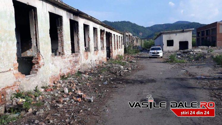 Polițiștii sunt acum la locul crimei, unde a fost găsită fetița de cinci ani
Foto: vasiledale.ro