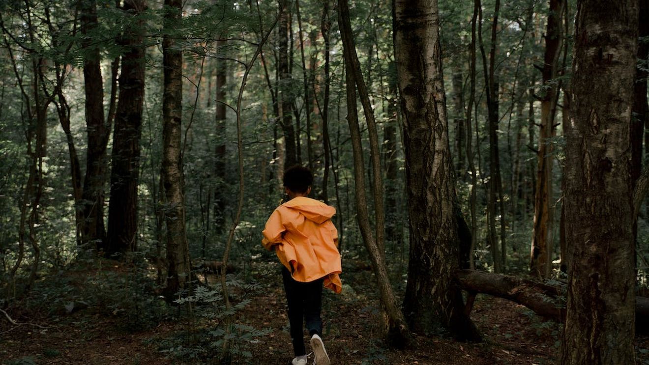 Un băiat din Marea Britanie a fost găsit în Franța, la 6 ani după dispariție! Acum a ajuns din nou acasă, povestea e una de film