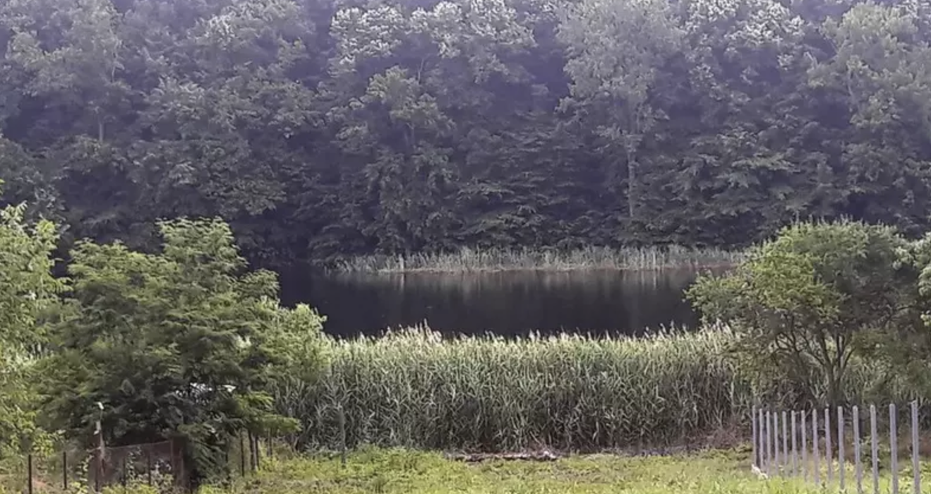 Cum arată casa de vis a lui Fuego! Ce a făcut artistul cu piscina interioară