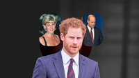Prințul Harry vrea să facă un film despre Diana, la 30 de ani de la moartea ei. De ce ar fi furios Prințul William
