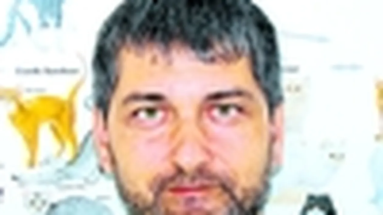 Cainii sunt predispusi la inflamarea glandelor perianale