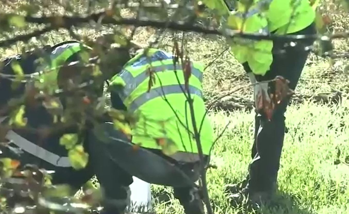 Fragmente osoase, aparent umane, descoperite pe un câmp de la marginea Bucureștiului. Ce lucruri au găsit criminaliștii când au ajuns la fața locului