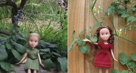 Galerie foto - poza 2