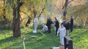 Descoperire macabră în Prahova! A plecat după ciuperci, dar a fost şocat de ceea ce a găsit în pădure. Are coşmaruri noaptea