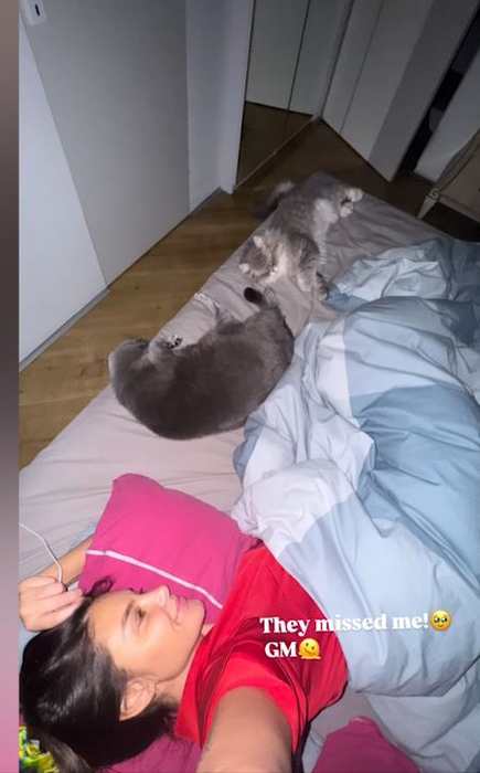 Cum arată apartamentul Ramonei Olaru după renovare. Are aer condiționat cu display și litieră „OZN”