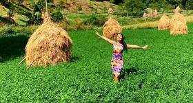 Galerie foto - poza 4