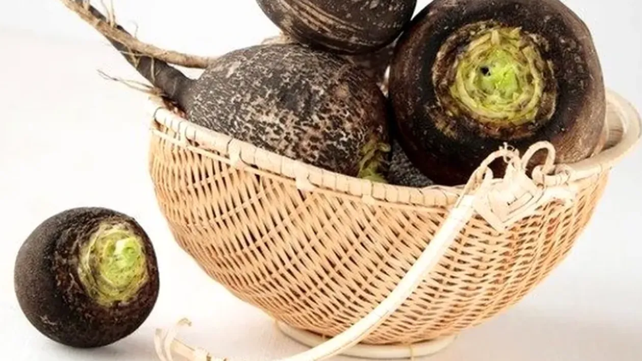 Ridichea neagră, planta minune din grădină. Scade colesterolul, calmează tusea şi previne bolile de inimă