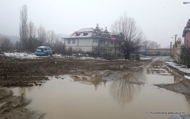 Are cravată de aur şi palate luxoase. Povestea bulibaşei „Puiu Englezu”. Ceilalţi romi sunt revoltaţi