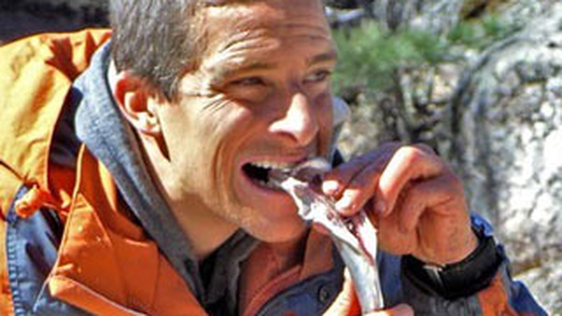 Absolut incredibil! Bear Grylls a fost dat afara de la Discovery! Nu va mai aparea in nicio productie a postului! Vezi motivul uluitor