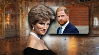 Prințul Harry vrea să marcheze 30 de ani de la moartea Prințesei Diana. Proiectul pe care îl pregătește în memoria mamei sale