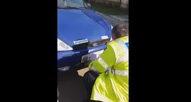 Galerie foto - poza 3