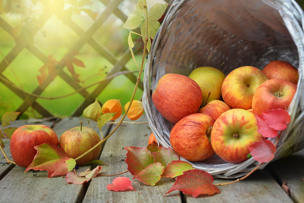 Poți mânca fructe și legume cu doar 7 lei pe zi (Foto: Pixabay)