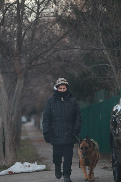 Irina Loghin l-a scos pe Tomi la plimbare
