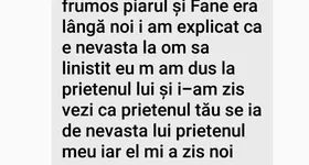 Galerie foto - poza 2