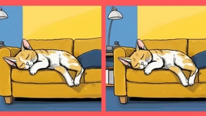 Test de logică | Aceste două imagini par identice, dar nu sunt. Găsiți cele 3 diferențe!