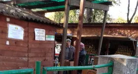 Galerie foto - poza 1