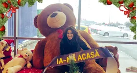 Galerie foto - poza 2