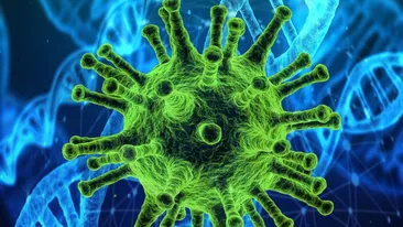 Coronavirus România, 6 februarie. 2.611 de români s-a infectat, în ultimele 24 de ore, cu noul coronavirus