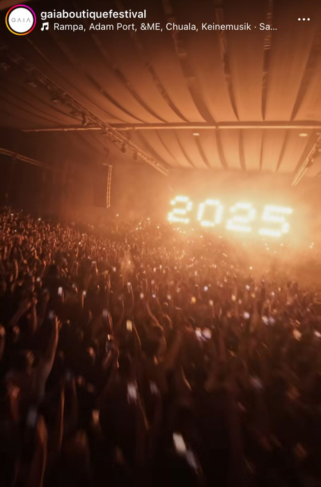 Spectacol Gaia de Revelion. sursă - social media