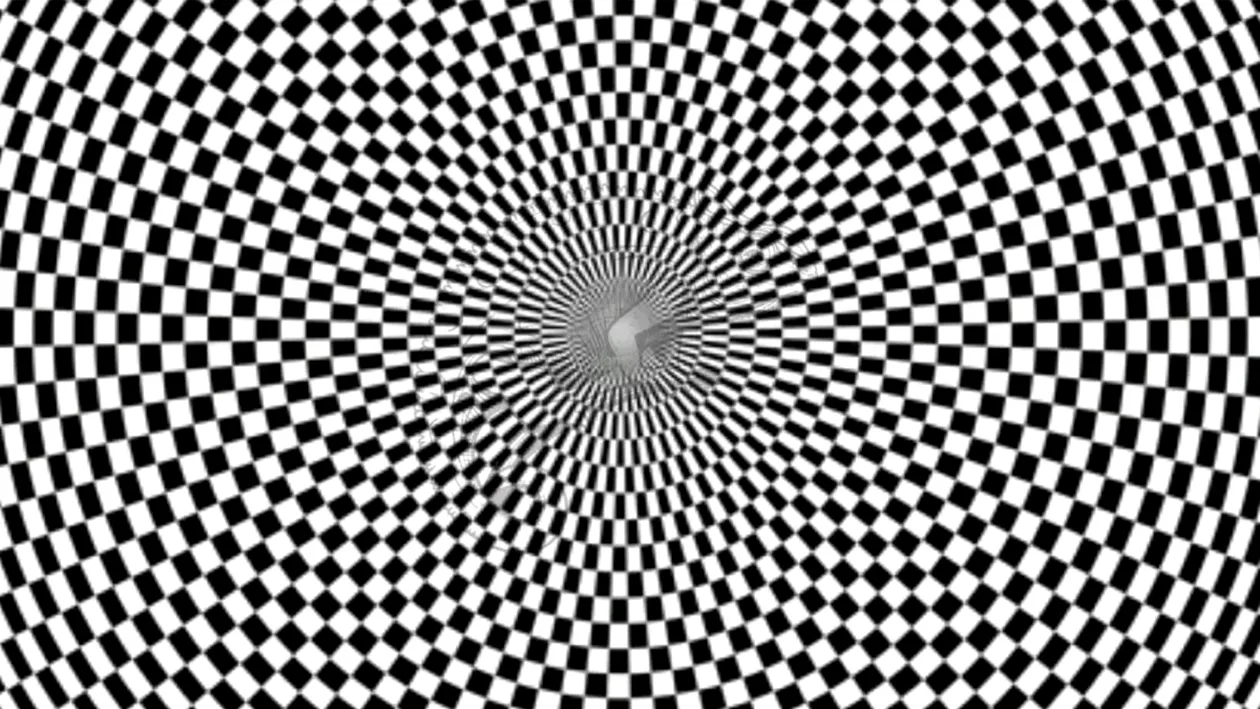 Iluzie optică virală | Exclusiv pentru genii: Ce animal se ascunde în această imagine?