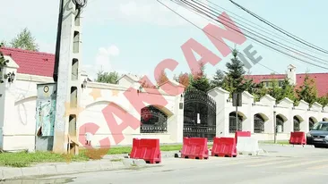 Alerta printre parinti! Invazie de paduchi la gradinitele vedetelor