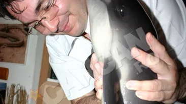 Ingrijesc un pui de delfin ca pe un bebelus