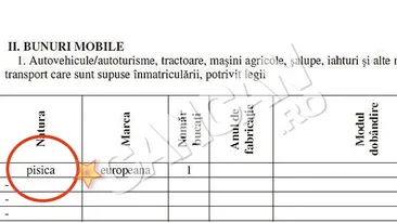 O functionara a Casei de Asigurari de Sanatate din Iasi a inscris animalul de companie la Bunuri Mobile. Si-a trecut pisica la rubrica avere