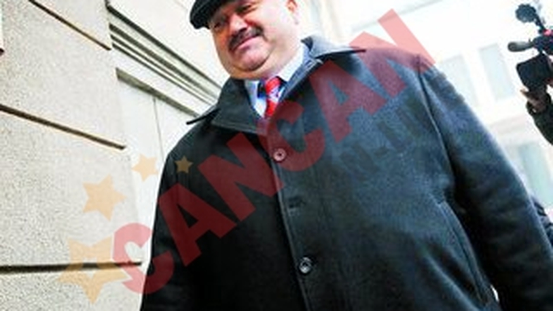 Catalin Voicu, la mana Senatului