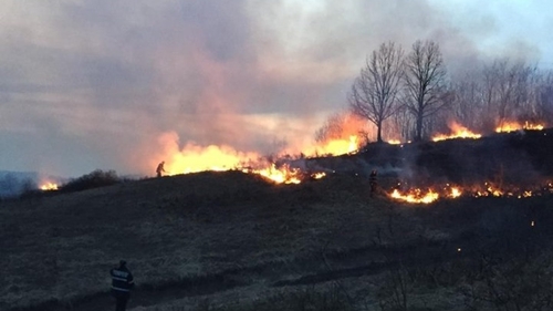 Restricții de circulație pe Valea Oltului, din cauza unui incendiu de vegetație