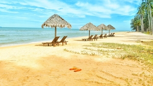Coșmarul vacanțelor de vară! Ce a filmat o femeie la 7 dimineața e halucinant!