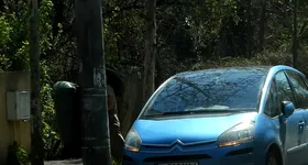 Galerie foto - poza 3