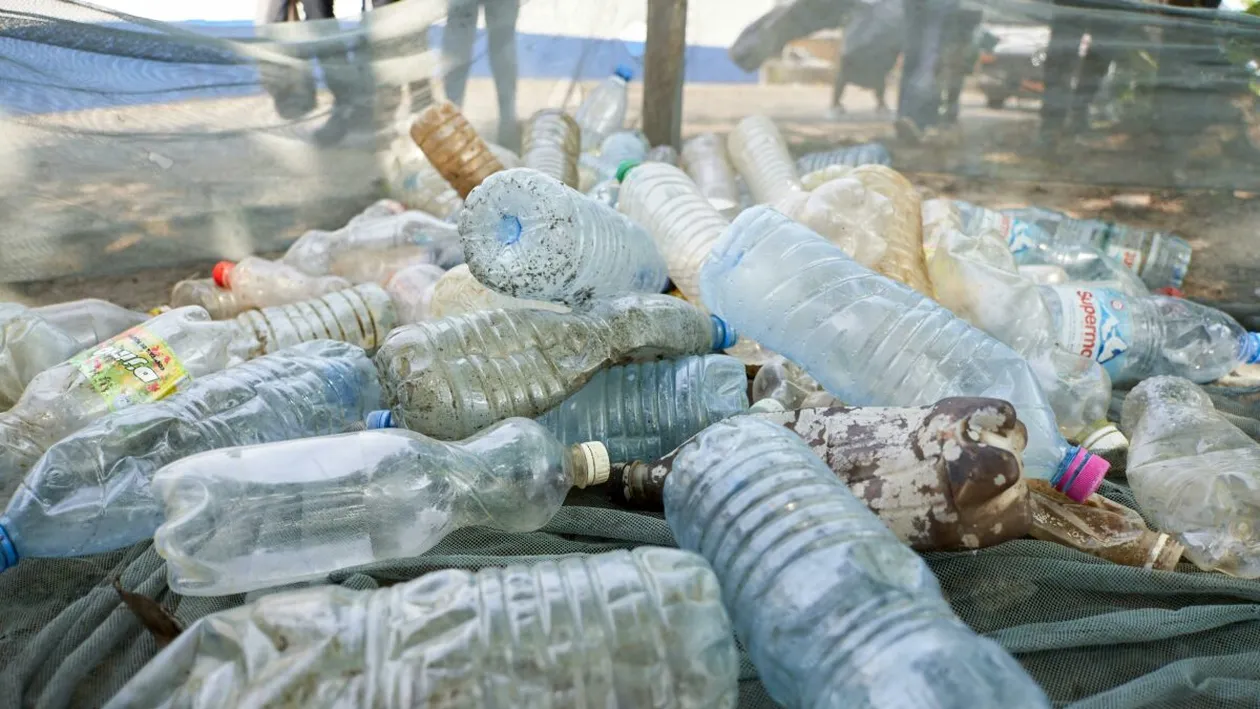 Reciclarea plasticului nu funcționează: cele 12 motive pe care nu ți le spune nimeni