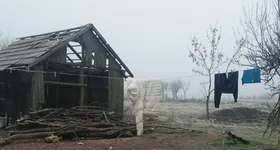 Galerie foto - poza 2